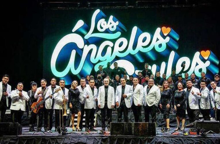 Falso retén en la autopista México-Puebla: Asaltan camión de Los Ángeles Azules