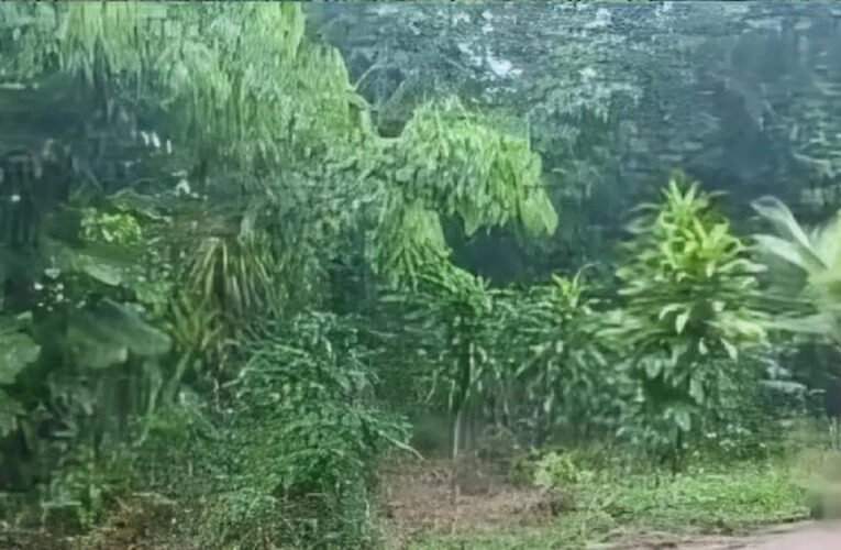 Riña a machetazos deja dos muertos en Xicotepec, Puebla