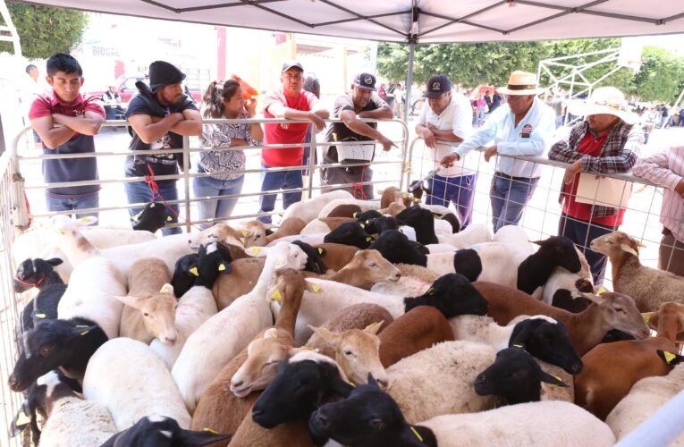 Obra comunitaria y transformación del campo, pilares de la soberanía alimentaria en Puebla