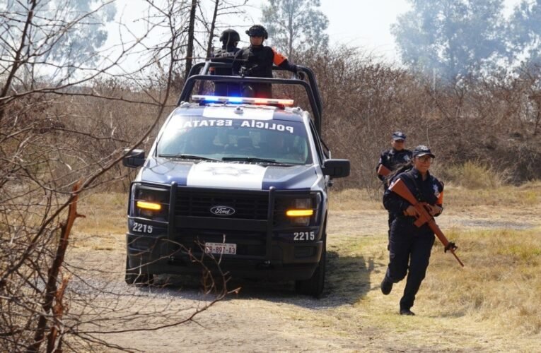 Labores preventivas de la Policía Forestal arrojan resultados positivos en Puebla