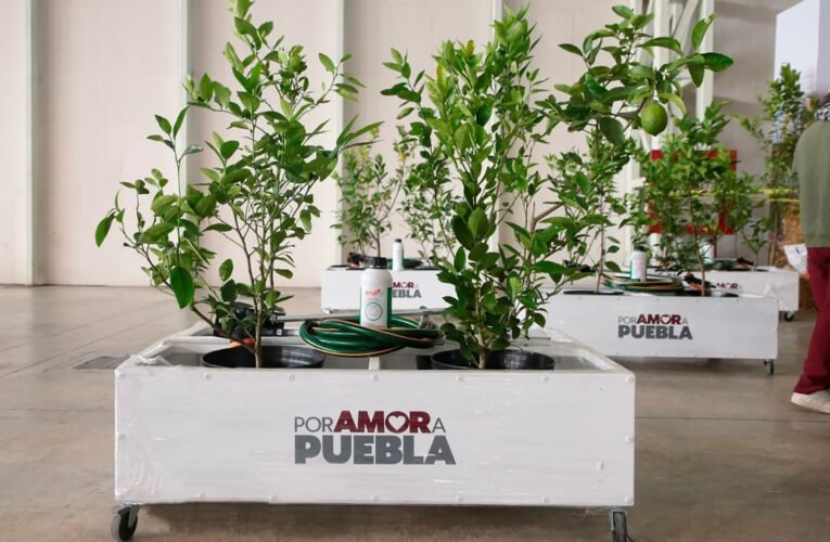 EN PUEBLA, LA META DE CERO INCENDIOS CONTINUARÁ PARA SALVAR VIDAS Y A LOS BOSQUES