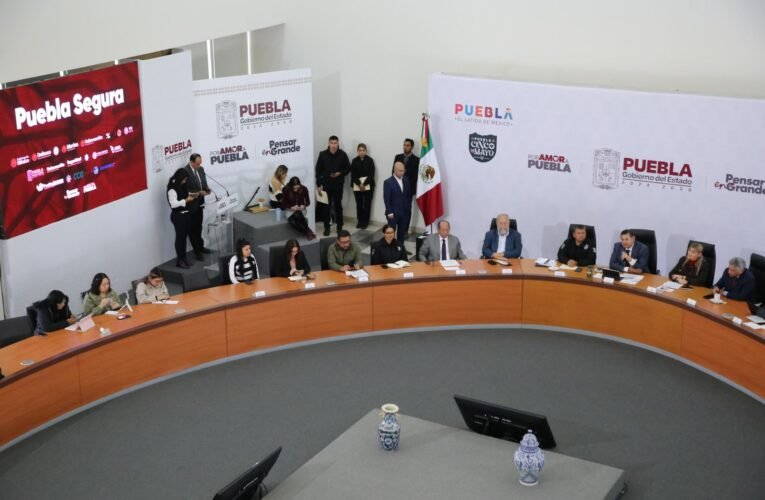 NICIA EL AÑO CON RESULTADOS POSITIVOS EN MATERIA DE SEGURIDAD: ARMENTA