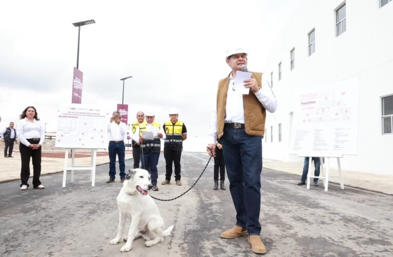 GOBIERNO ESTATAL ALCANZA 88 POR CIENTO DE AVANCE EN CÉLULA DE BIENESTAR ANIMAL